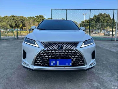 2021 Lexus RX 300 AWD Special Edition, фото 2, лот 11574732