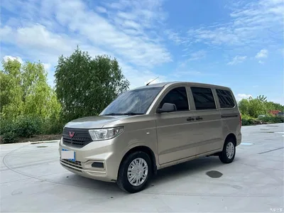 2019 Wuling Motors Wuling Hongguang V 1.5L Basic China VI LAR, фото 1, лот 10890021