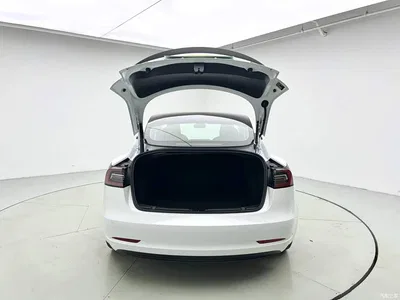 2021 Tesla Model 3 Performance High-Performance All-Wheel Drive 3D6, фото 4, лот 10356252