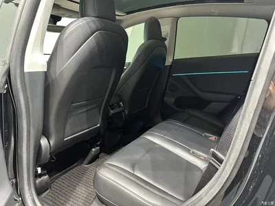 2022 Tesla Model Y Rear-Wheel Drive Version, фото 4, лот 11017763