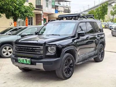 2024 Haval Meng Long NEV Hi4 145 Cross-country Edition, фото 1, лот 11569667