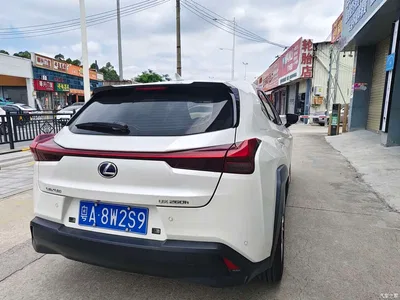 2020 Lexus UX 260h Explore Fun Edition, фото 2, лот 10313644
