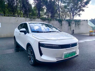 2018 Ora iQ Long-range Edition Smart Connect, фото 3, лот 10887426