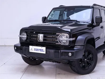 2021 Tank 300 Off-road Version 2.0T Conqueror, фото 3, лот 10343987