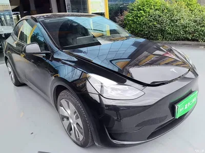 2022 Tesla Model Y Rear-Wheel Drive Version, фото 4, лот 10370265