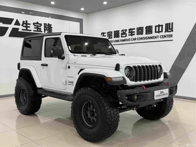 2019 Jeep Wrangler 2.0T Sahara 2-Door China VI, фото 3, лот 11184023