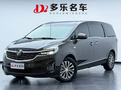 2022 Buick GL8 Land Business Class 652T Luxury, фото 1, лот 10256126