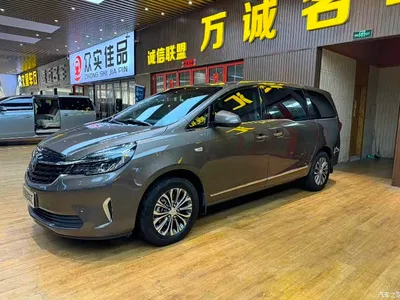2022 Buick GL8 Land Business Class 652T Smart Luxury, фото 1, лот 10440715