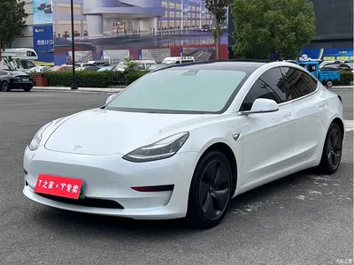 2020 Tesla Model 3 Standard Range Rear-Wheel Drive Upgrade, фото 1, лот 10616037