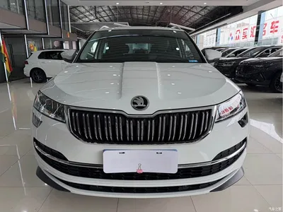 2023 Škoda Karoq TSI280 Premium Edition, фото 2, лот 10348544