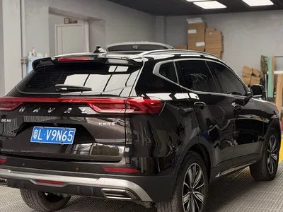 2023 Haval H6 National Trend Edition 1.5T Automatic Champion, фото 4, лот 10283447