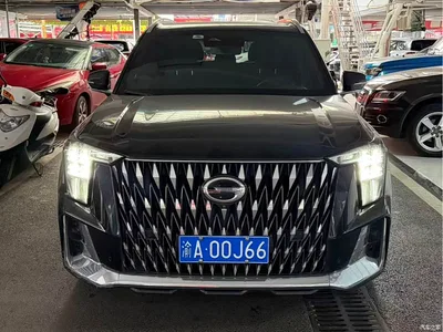 2022 GAC Trumpchi Trumpchi GS8 Dual Engine Series 2.0TM 2WD Premium Edition (7-Seater), фото 2, лот 10407422