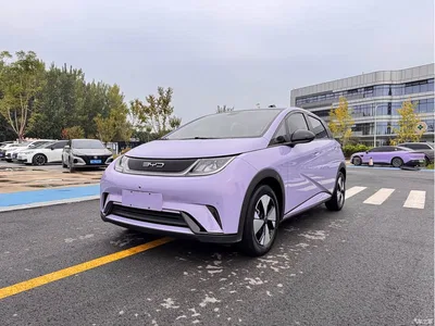 2023 BYD Dolphin 420km Fashion Edition, фото 1, лот 10258327