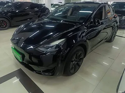 2024 Tesla Model Y Rear-Wheel Drive Version, фото 1, лот 10383260