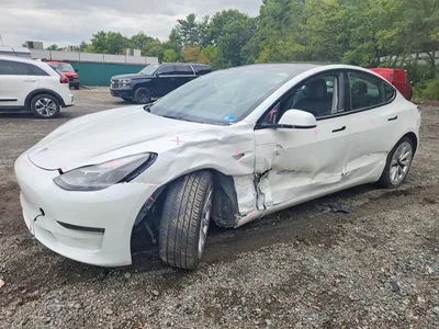 2023 TESLA MODEL 3, фото 1, лот 11560823