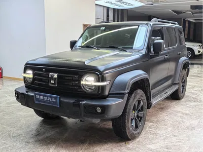 2021 Tank 300 Off-road Version 2.0T Conqueror, фото 1, лот 11088425
