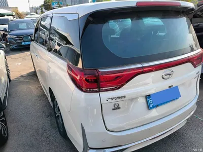 2021 GAC Trumpchi Trumpchi M8 Leading Show Series 390T Luxury Edition, фото 4, лот 10398386