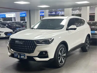 2023 Haval H6 National Trend Edition 1.5T Automatic Champion, фото 1, лот 10282616
