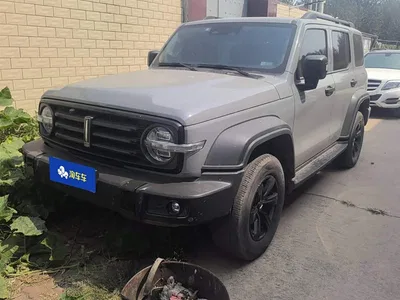 2021 Tank 300 Off-road Edition 2.0T Challenger, фото 1, лот 10344693