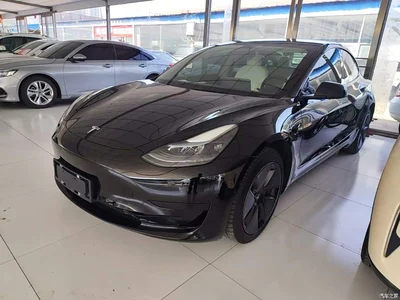 2022 Tesla Model 3 Model Rear-Wheel Drive Version, фото 2, лот 10370037