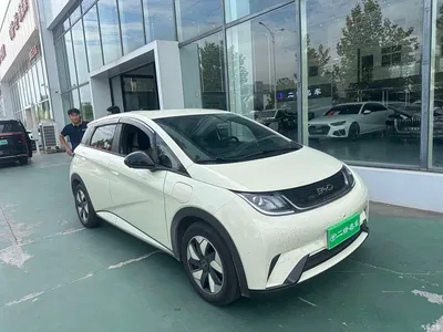 2025 BYD Dolphin 420km Freedom Edition, фото 3, лот 10396398