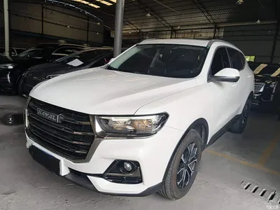 2021 Haval H6 National Trend Edition 1.5T Automatic Urban Edition, фото 1, лот 10302656
