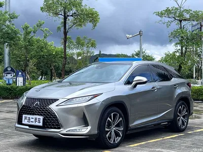 2020 Lexus RX 300 4WD Elegance Edition China VI, фото 1, лот 10318096
