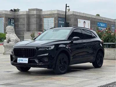 2022 Hongqi HS5 2.0T Smart Connect Premium Edition, фото 1, лот 10288269
