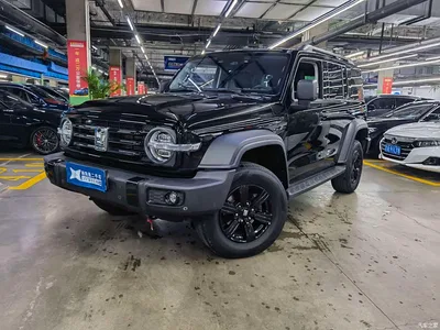 2021 Tank 300 Off-road Edition 2.0T Challenger, фото 1, лот 10344573