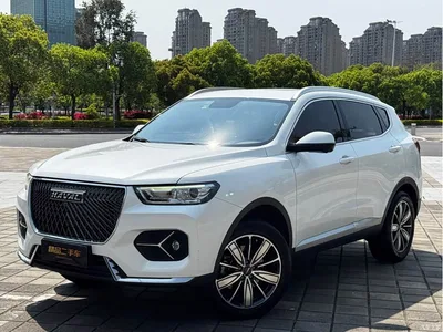 2021 Haval H6 1.5GDIT Automatic Champion Edition, фото 1, лот 10296948
