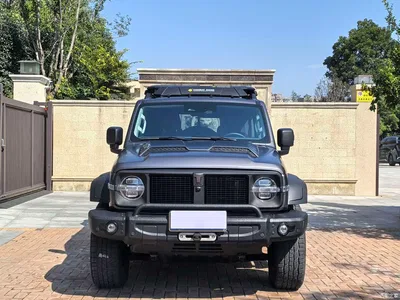 2024 Tank 300 Model 330 3.0T V6, фото 2, лот 11534187
