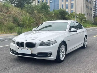 2014 BMW 5 Series 525Li Luxury Design Package, фото 1, лот 11096567