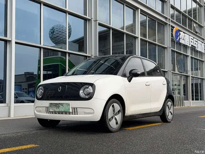 2021 Ora Black Cat 301km Pet Edition, фото 1, лот 11348437