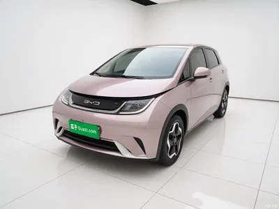 2021 BYD Dolphin 405km Freedom Edition, фото 1, лот 11181612