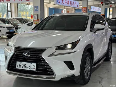 2018 Lexus NX Model 300h FWD Fengshang Edition China V, фото 1, лот 10445384