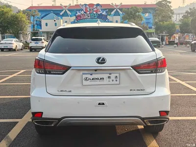 2020 Lexus RX 300 4WD Elegance Edition China VI, фото 4, лот 10313269