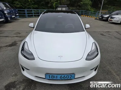2021 Tesla Model 3 Long Range AWD, фото 1, лот 10121723