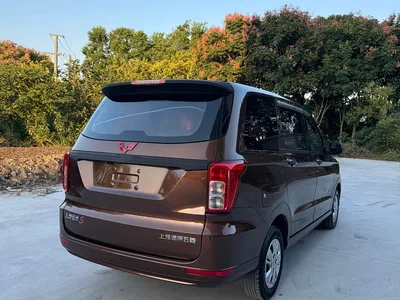 2021 Wuling Motors Wuling Hongguang 1.5L Facelift S Basic Electric Power Steering LAR, фото 4, лот 11586214