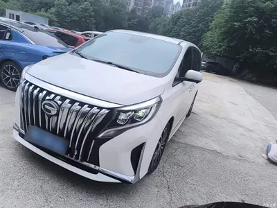 2021 GAC Trumpchi Trumpchi M8 Leading Show Series 390T Ultimate Edition, фото 1, лот 10424693
