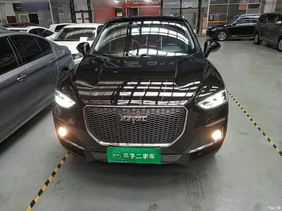2019 Haval F5 National Trend Edition 1.5T iStyle China VI, фото 3, лот 11502587