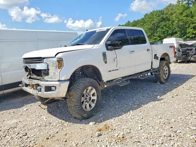 2019 FORD F250 SUPER DUTY, фото 1, лот 10551294