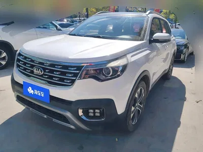 2018 Kia Sportage 2.0L Automatic Smart Luxury (China V), фото 1, лот 11582084