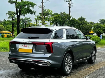 2021 Hongqi E-HS9 510km Flagship Comfort 6-seater, фото 4, лот 10287996
