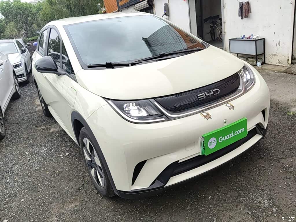 2024 BYD Dolphin Glory Edition 420km Freedom Edition, фото 4, лот 11221507