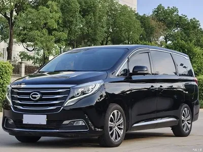 2019 GAC Trumpchi Trumpchi M8 320T Ultimate Edition, фото 1, лот 10420211