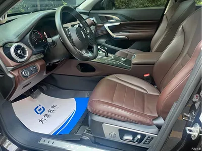 2020 WEY VV7 Model 2.0T Flagship, фото 4, лот 10670824
