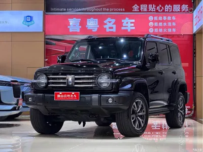 2023 Tank 300 Urban Edition 2.0T Very Stylish, фото 1, лот 10671563