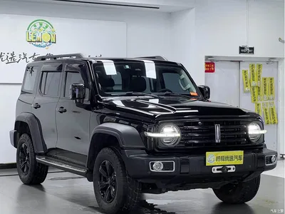 2021 Tank 300 Off-road Version 2.0T Conqueror, фото 4, лот 10343971
