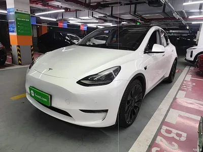 2022 Tesla Model Y Performance High-Performance All-Wheel Drive Version, фото 2, лот 10837745