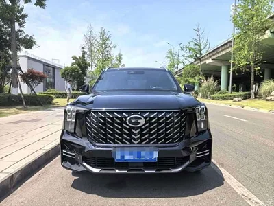 2022 GAC Trumpchi Trumpchi GS8 Pilot Series 2.0TGDI 4WD Luxury Smart Connect Edition (6-Seater), фото 2, лот 10418682